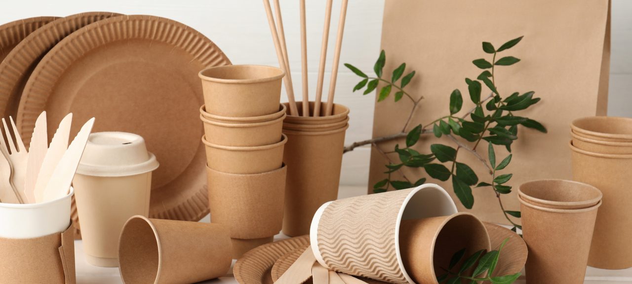eco-disposable-tableware-green-twigs-on-2195854597